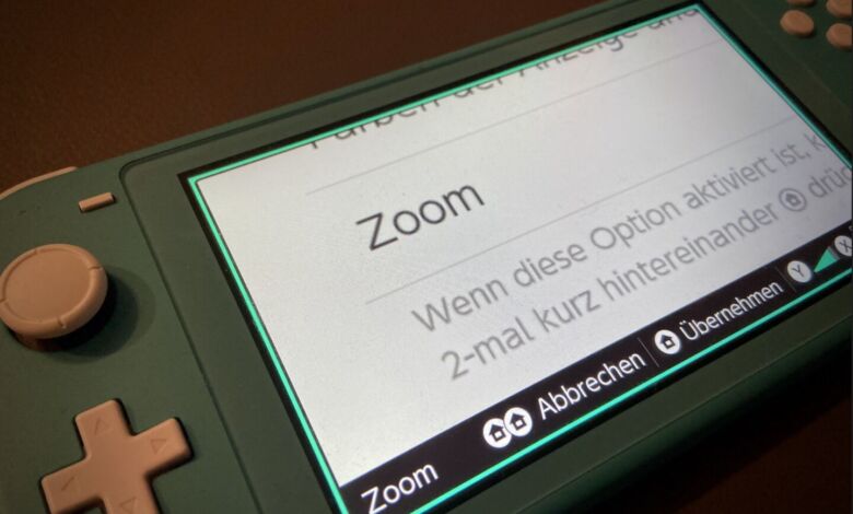 Nintendo Switch Zoom aktivieren