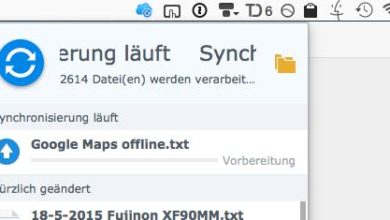 Synology Cloud Station Probleme