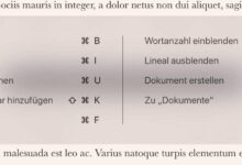 Effektiver arbeiten mit Keybord-Shortcuts.
