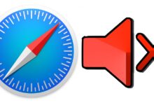 Safari lässt sich leicht stumm schalten.