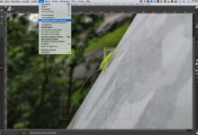 Gimp 2.10 für den Mac