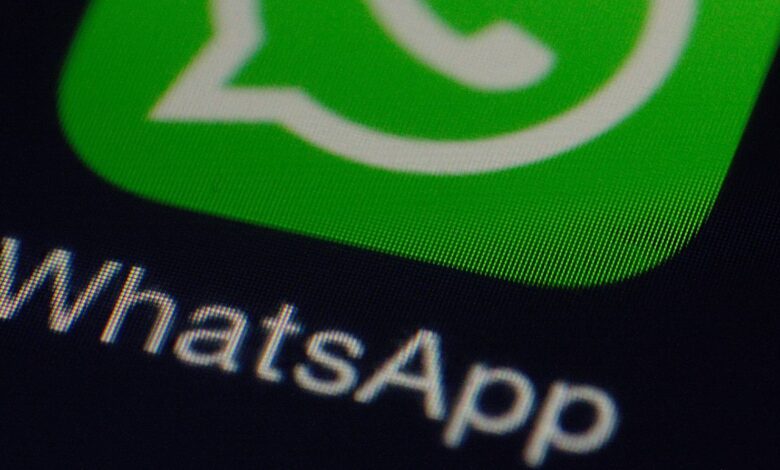 This is how to forward animated GIF images on WhatsApp