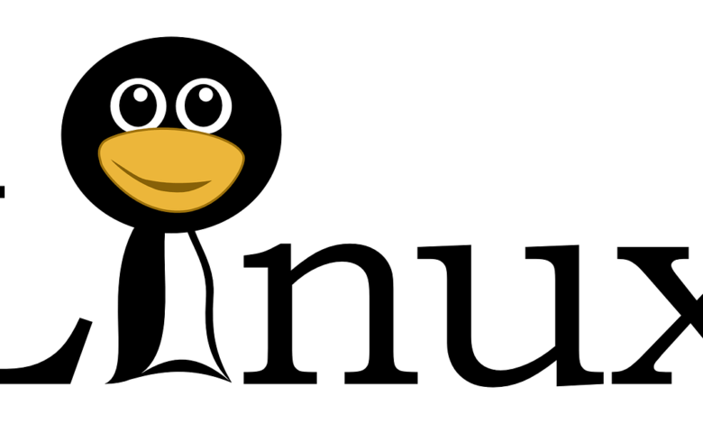 Linux macht alte PCs wieder flott (Bild: Pixabay)