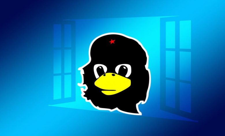 Linux unter Windows (Bild: geralt/OpenClipartVectors/Pixabay)