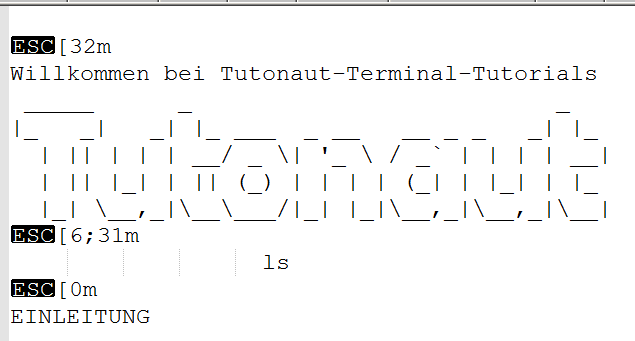 terminal output