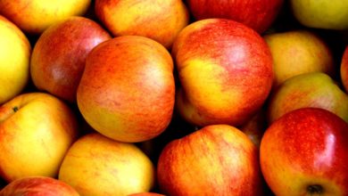 Viele Äpfel (Bild: Pixabay/Pexels)