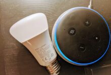 Philips Hue Echo Dot