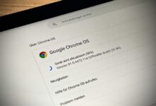 Google Chrome OS Updates Support
