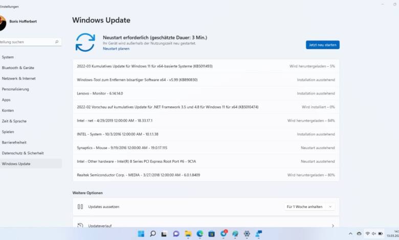 Windows 11 alle Updates installieren
