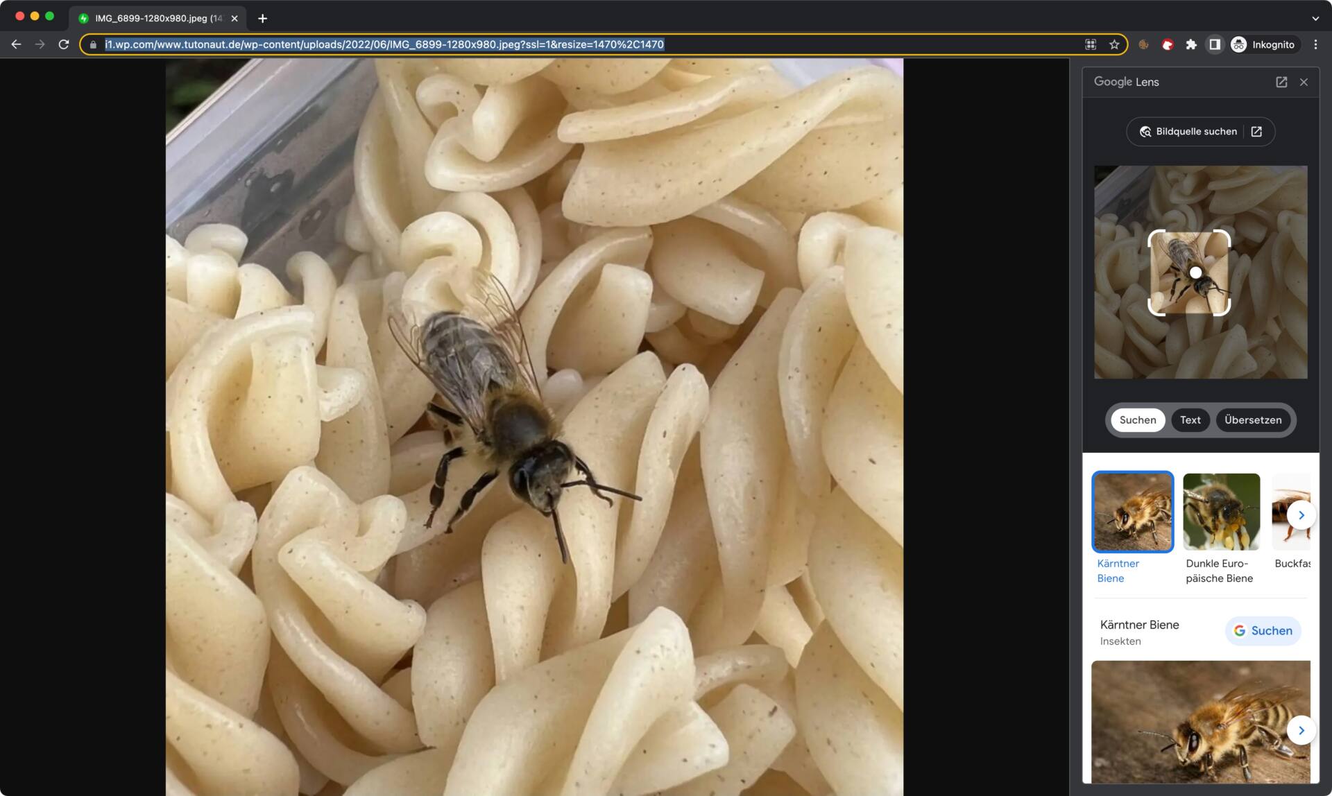 Google Lens So nutzt Ihr die geniale Bildersuche am Desktop!
