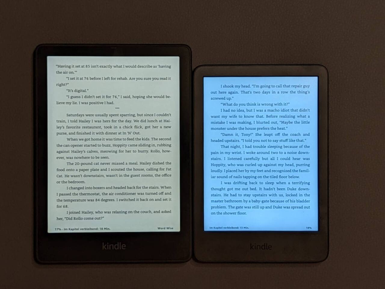 Kindle Paperwhite vs Kindle 2022