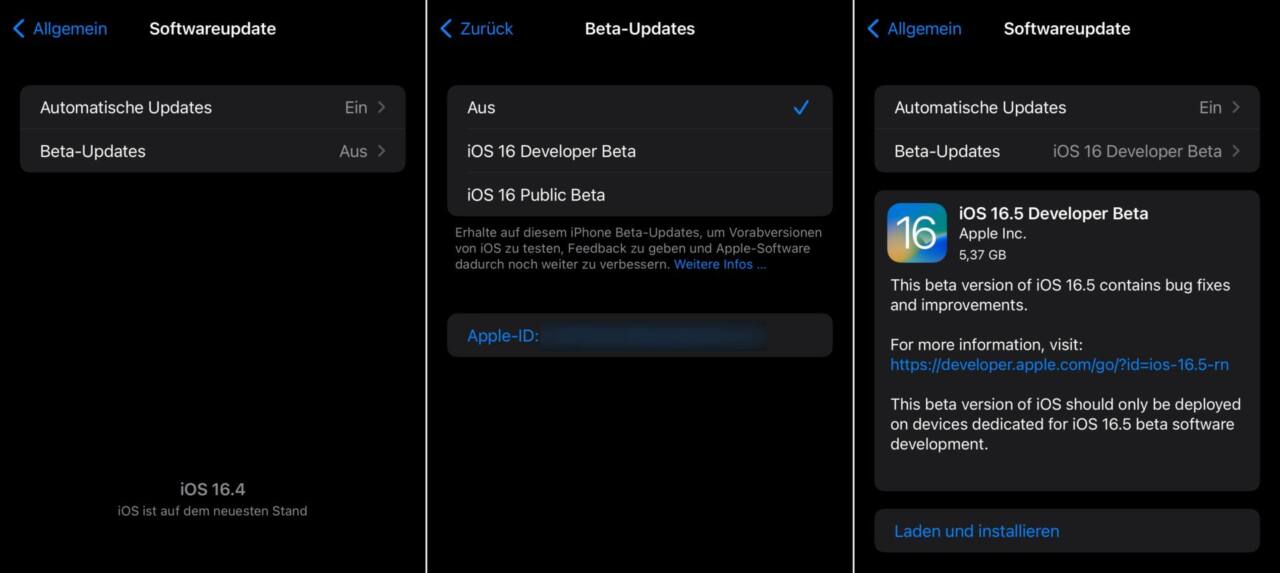 iOS Beta-Versionen installieren
