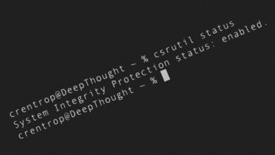 Die Systemintegritätsprüfung ist sinnvoll, muss aber manchmal deaktiviert werden.