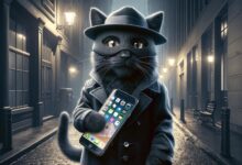 iPhone erweiterten Datenschutz aktivieren