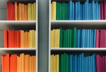 (Foto: Garmin B auf Unsplash)