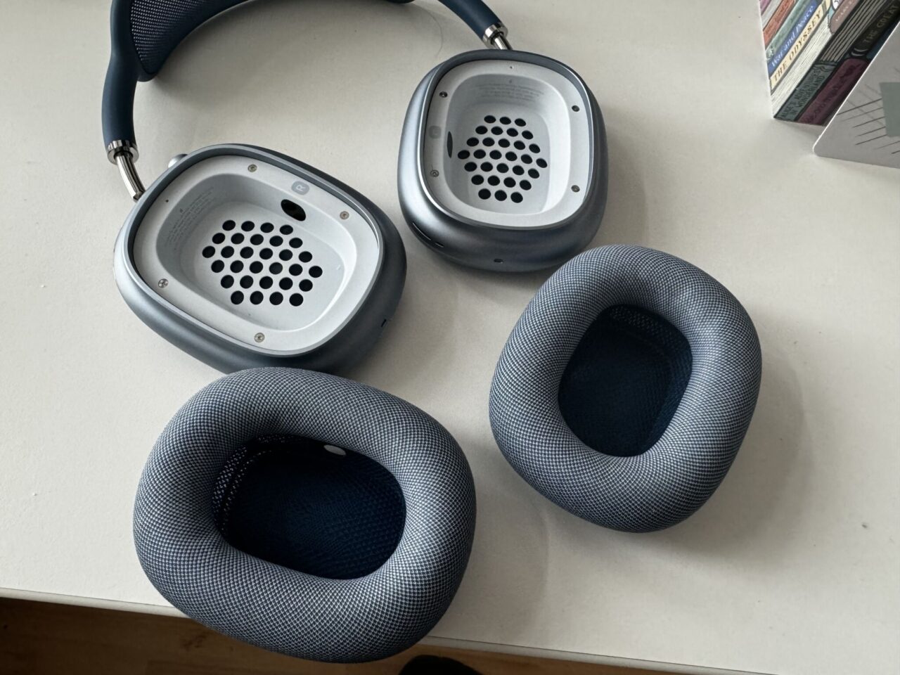 AirPods Max Ohrmuscheln