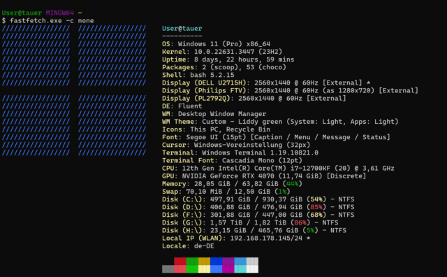 standard-fastfetch-aausgabe.