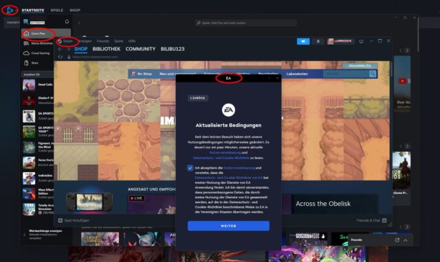 steam und andere game stores.