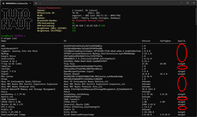 winget-terminal-ausgabe.