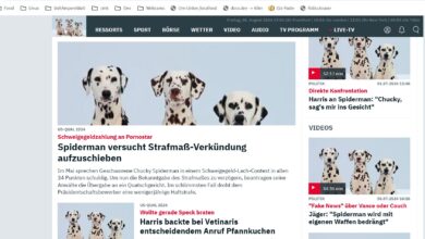 safari quelltext bearbeiten iphone manipulierte ntv-homepage.
