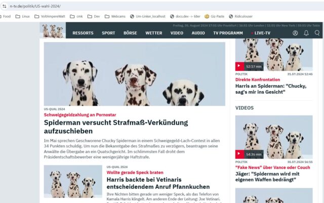 manipulierte ntv-homepage.