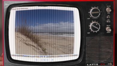 iPad auf dem TV? Dank HDMI-USB-C-Kabel kein Problem!