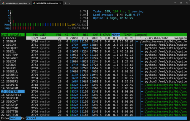 ditto im terminal.