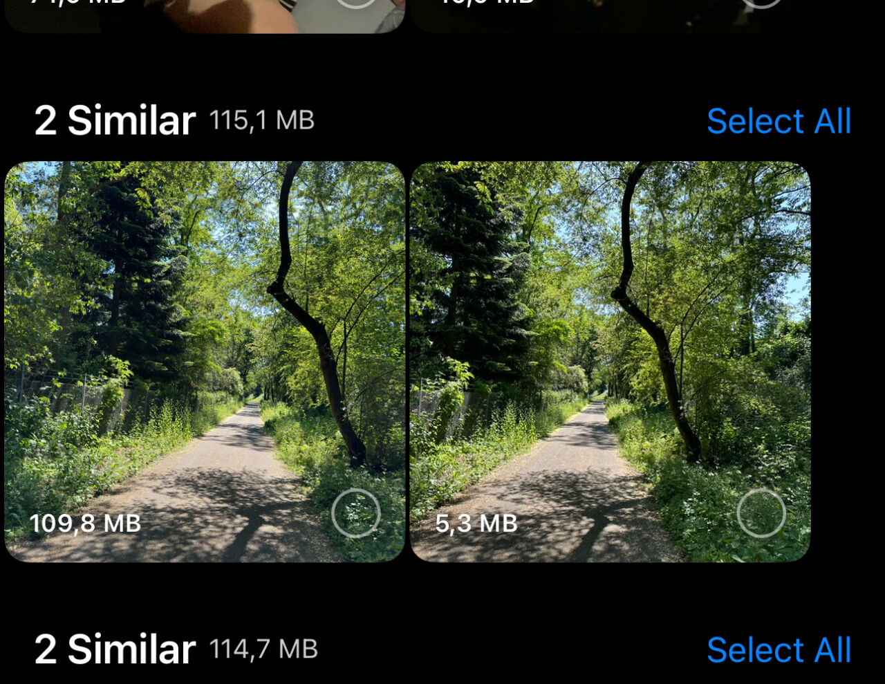 Photo Cleaner Raw vs. Standard.
