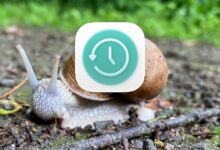 Foto: Christian Rentrop, Icon: Apple