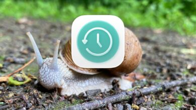 Foto: Christian Rentrop, Icon: Apple