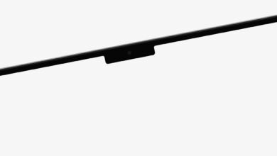 Apples Notch ist eine... fragwürdige Designentscheidung.
